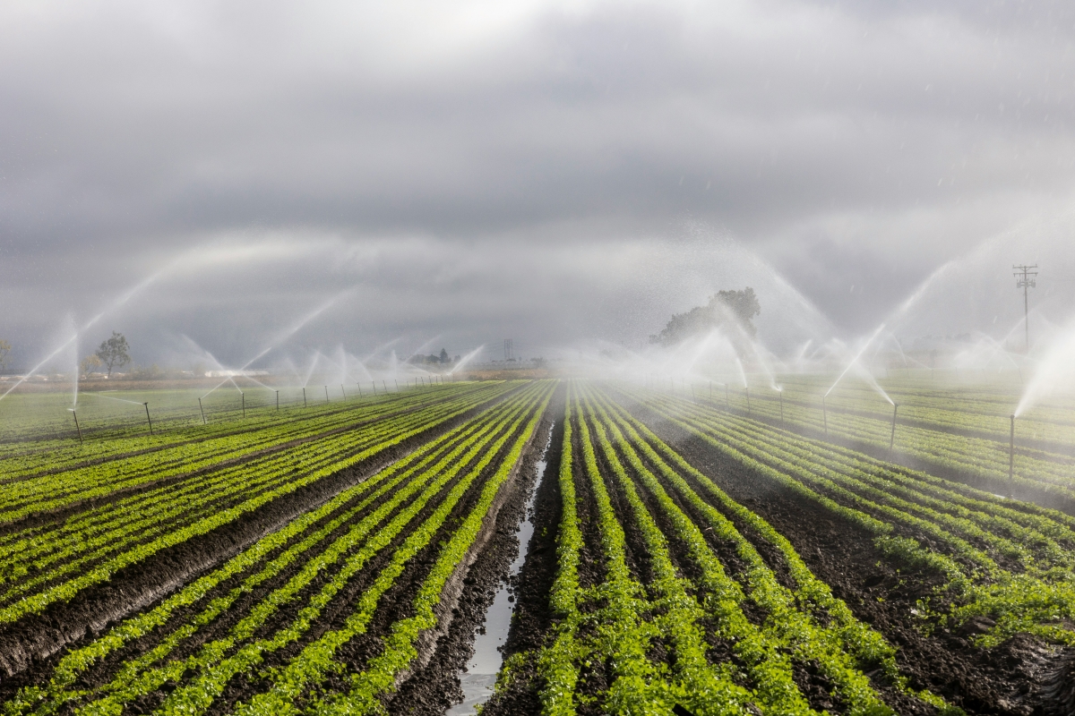 Ahorro de agua en agricultura: medidas y tecnología para ser más eficientes